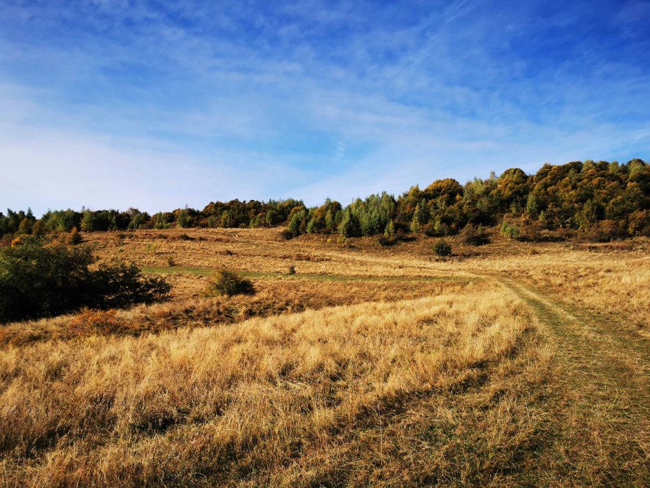  01mb img 36 img 20211009 100256 0