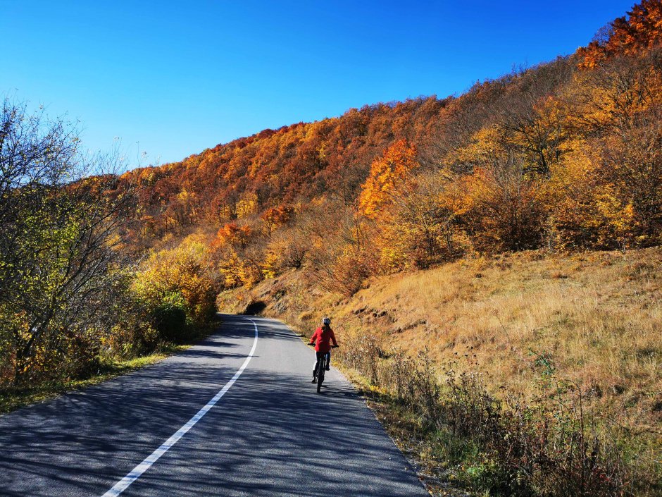  01mb img 45 img 20211024 110817