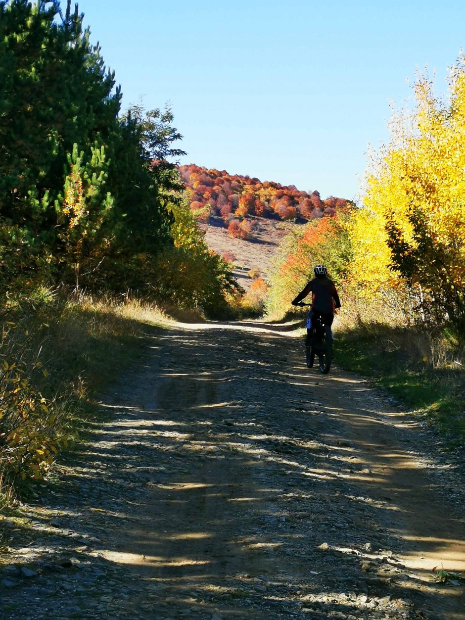  01mb img 45 img 20211024 122445