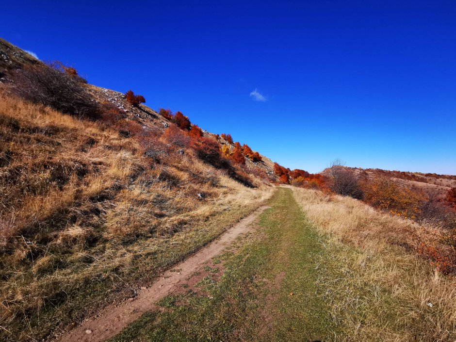  01mb img 45 img 20211024 133233