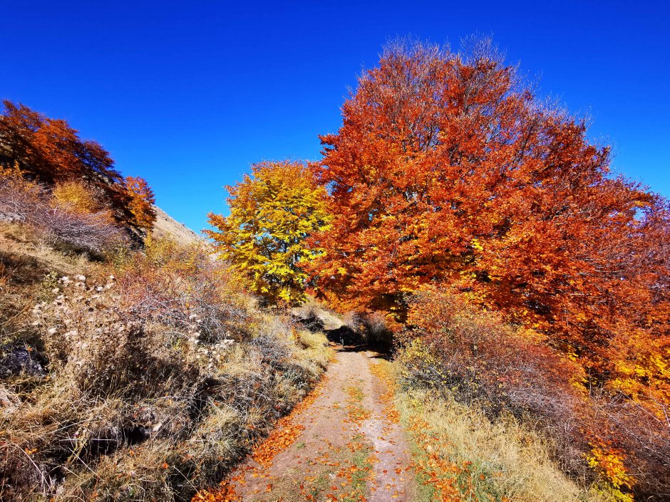  01mb img 45 img 20211024 133438