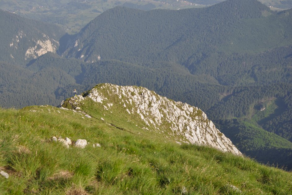  02mn img 17ta de pe padinile frumoase spre prapastiile zarnestilor 2