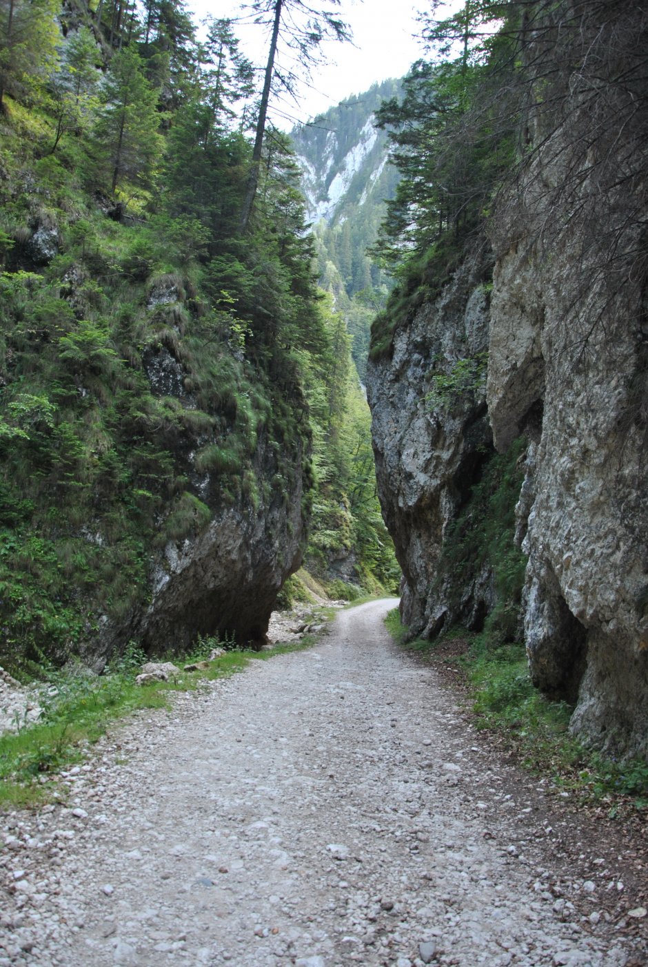  02mn img 38pg prapastiile zarnestilor 0