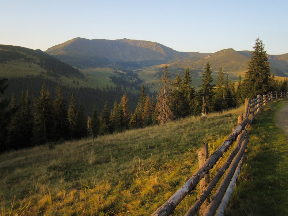  03mn img 03tr vedere spre vf gargalau pe drumul spre poiana stiol 0