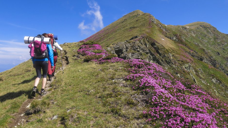  03mn img 07ba ultimii metri de urcus spre buhaescumic 3