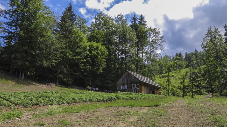  03mn img 10ta poienita pe traseul ta 3