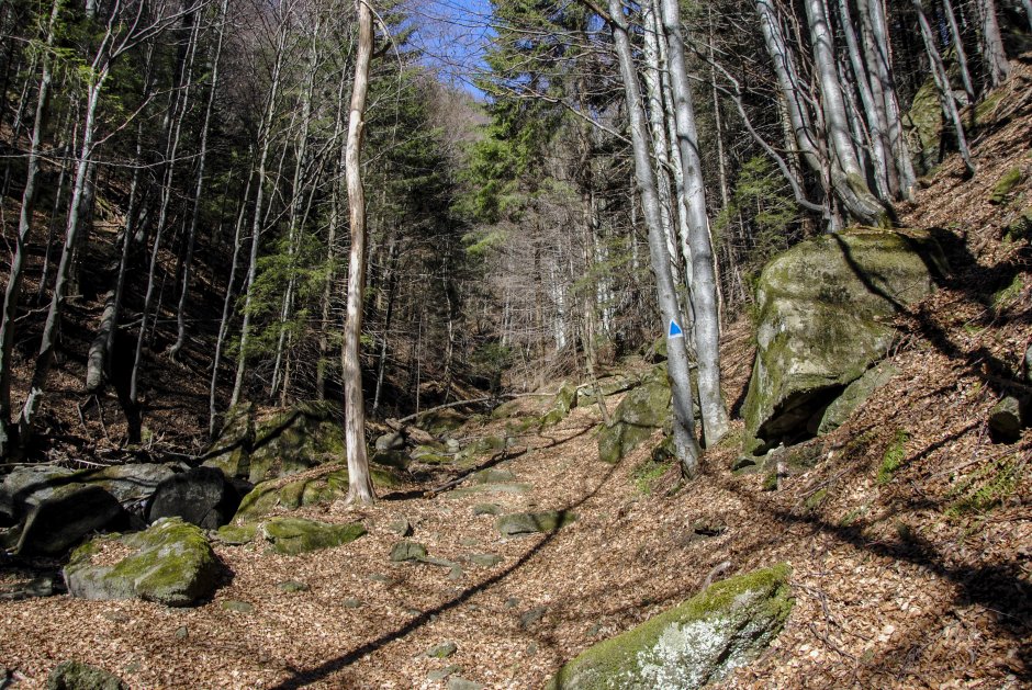  04mn img 02ta paraul babesului 3