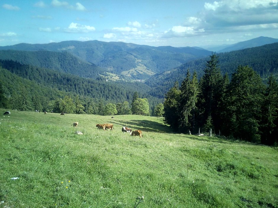  05mb img 09 satul chiril - vedere de pe transrarau