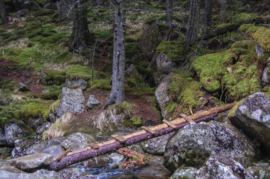  06mn img 08cr trecere valea pietrele