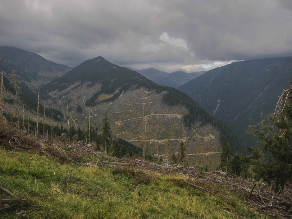  07mn img 54tr coborare din curmatura malitei in valea rea 1