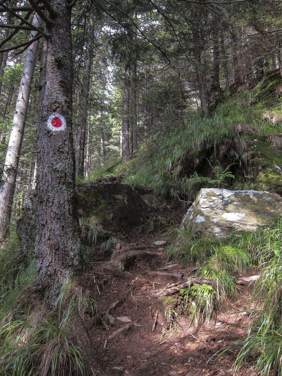  07mn img 59pr urcarea din valea sambetei in muchia dragusului 0