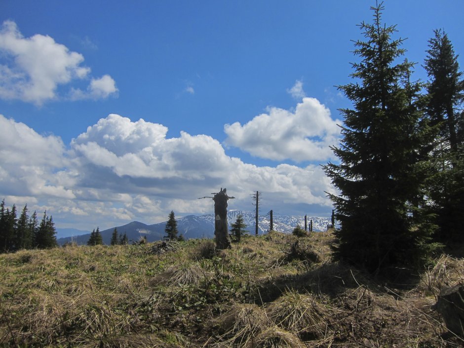  07mn img 75tg poiana sub vf