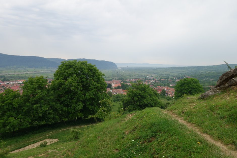  07mn img 85tr dealul frasinul 3