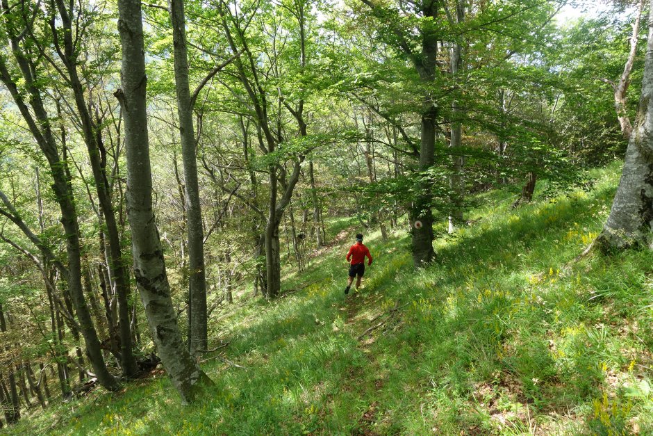  07mn img 88pr coborare spre manastirea turnu rosu 3