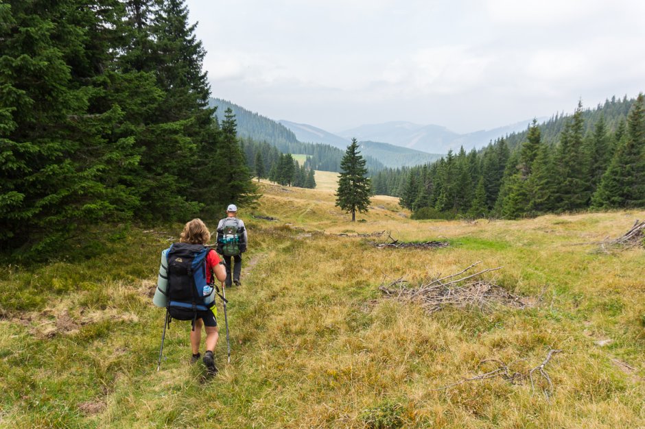 _12MN_Coborare din saua Huluzu printr-o poiana prelunga_05.jpg