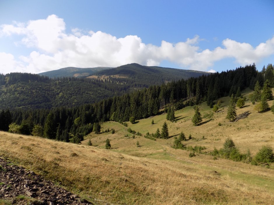 _13MN_img_03 Valea Racadului si creasta Vladesei.jpg