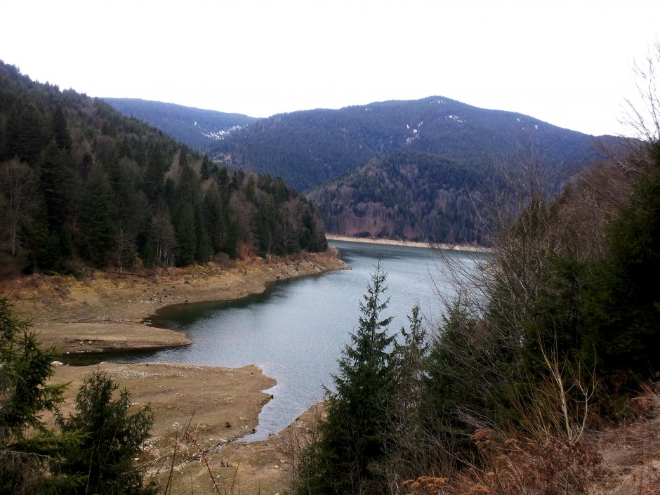 _13MN_img_04 Gura Zarnii.jpg