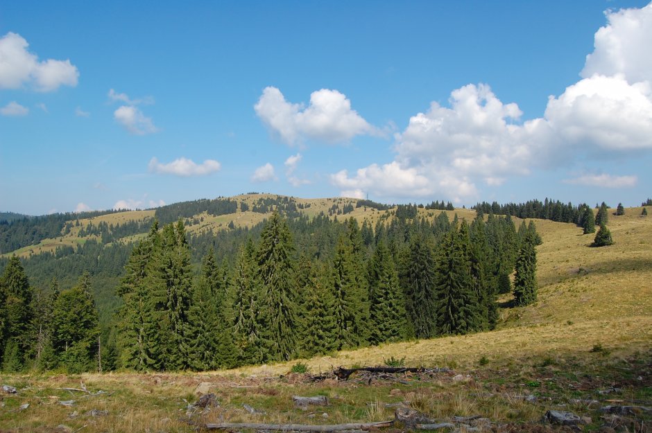  13mn img 26 vedere de la muncel spre piatra calului