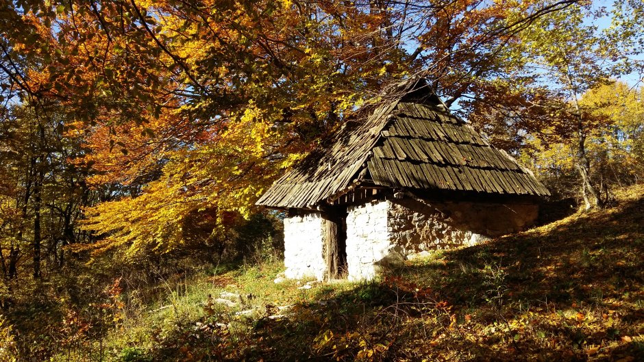 _14MN_img_02CG Salas parasit in Muntii Mehedinti.jpg