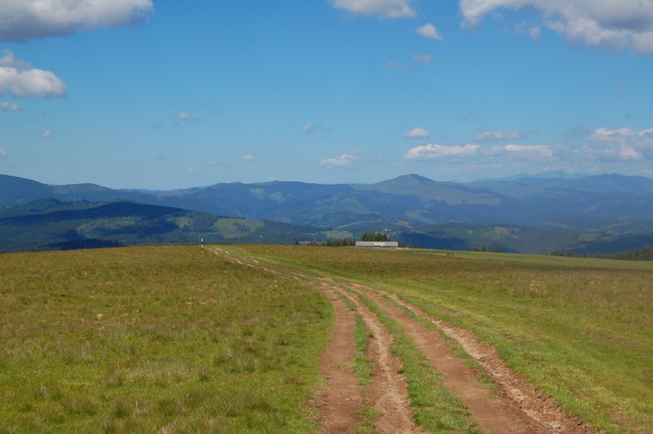  16mn img 04bg poiana ciungilor 2