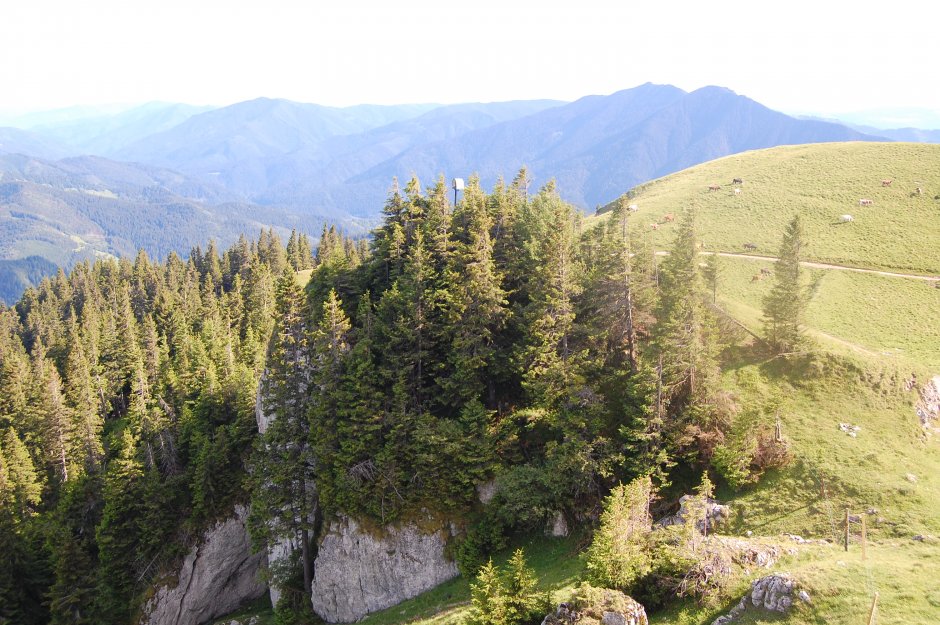  16mn img 22pa piatra zimbrului 0