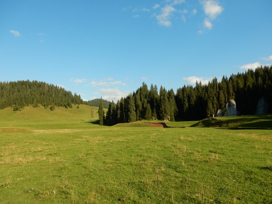  17mn img 04pa poiana ponor