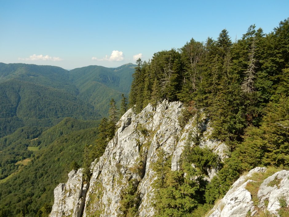  17mn img 18pgd belvedere piatra galbenei