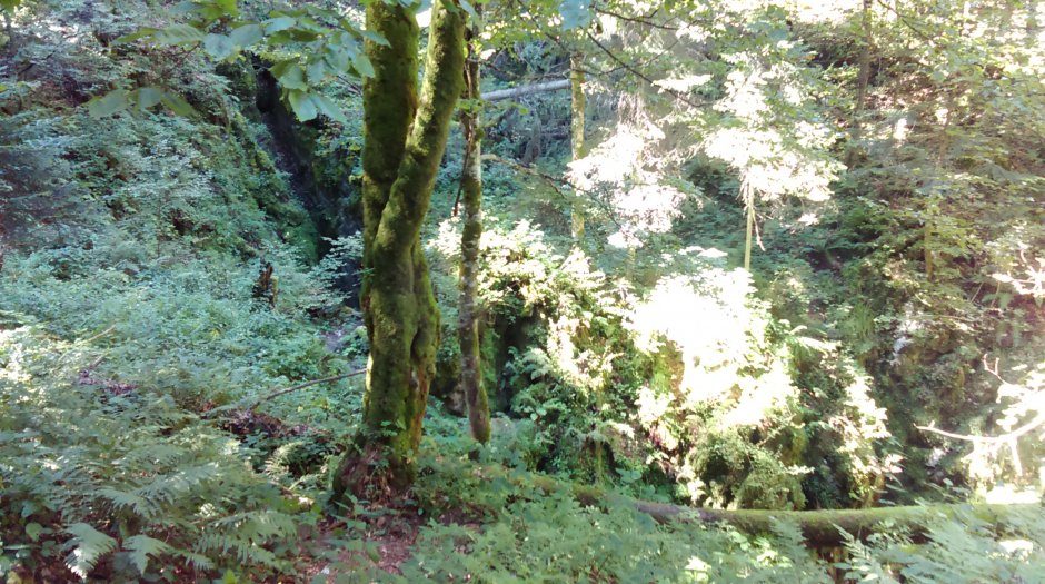  17mn img 19pgd avenul bortig 0