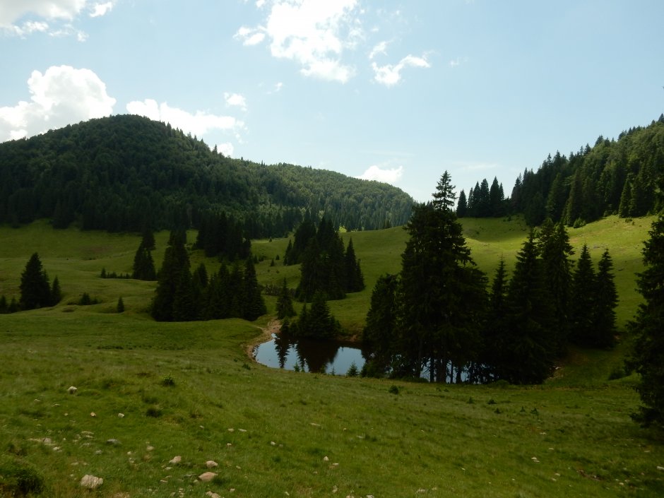  17mn img 22pr taul varasoaia 0