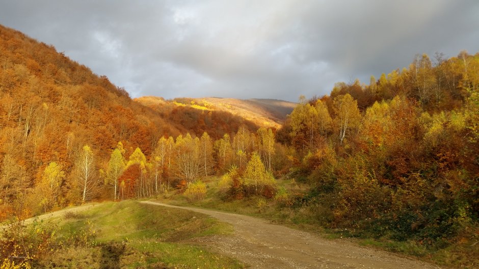  17mn img 36ta apus de soare la obarsia paraului cristioru 0