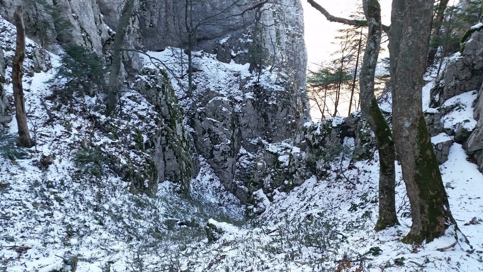  17mn img 56ca poteca de acces la poiana intre vulcani