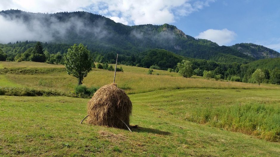  17mn img 58pa sub abruptul muntelui strutu 1