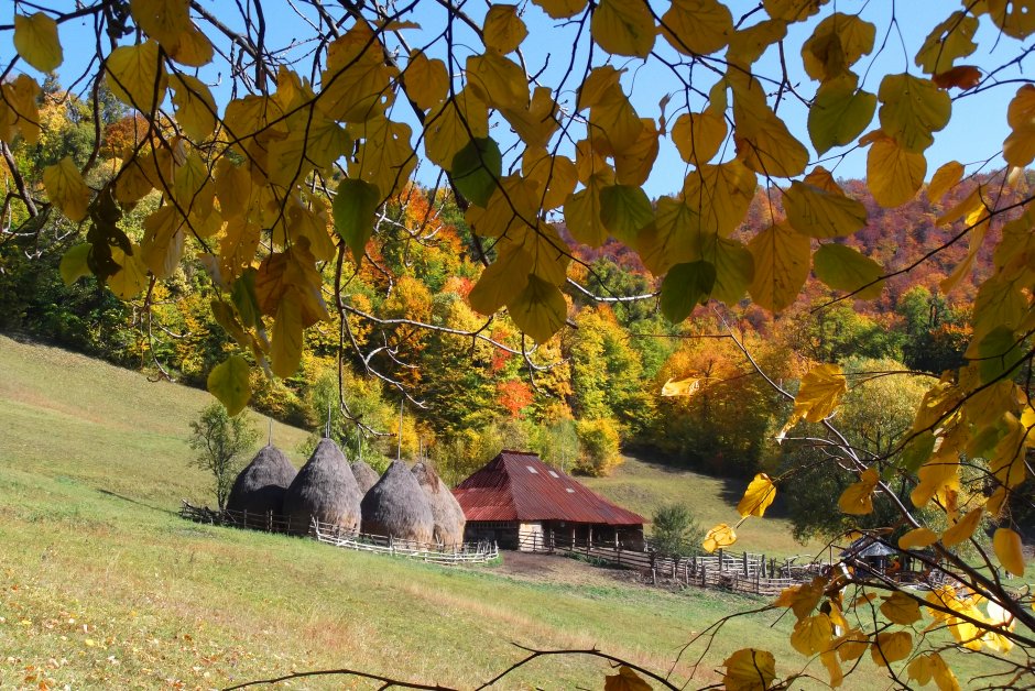  18mn img 03cg stana din poiana la musetel
