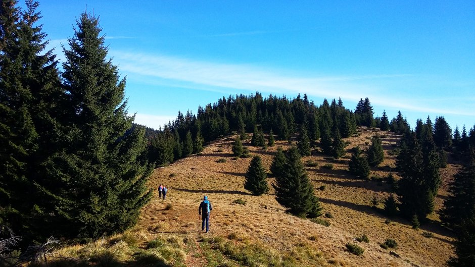  18mn img 10pr in poiana stana mocirlele 0