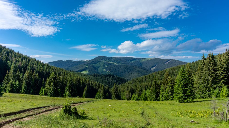  19mn img 02tg coborare spre valea paraului loc din saua arama neagra