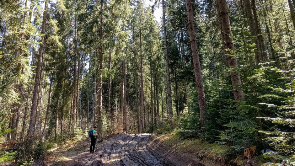  19mn img 23ba pe valea vinul mare 0