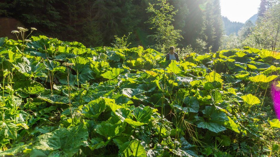  19mn img 49ca podbalul de pe valea suhard 0