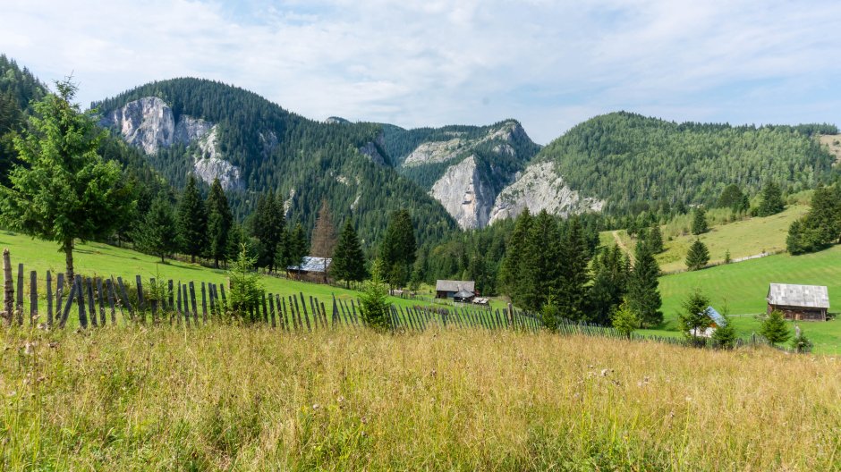  19mn img 52bg cheile bicajelului din poiana surducel