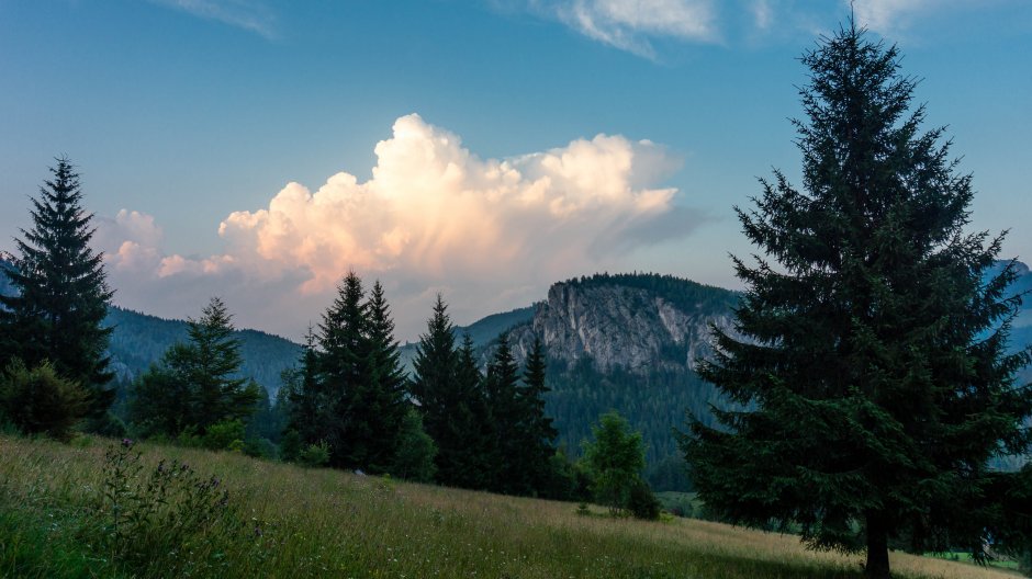  19mn img 54tg piatra surducel din poiana florilor 0