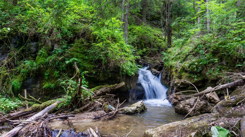  19mn img 58cr paraul cupas din cheile cupasului