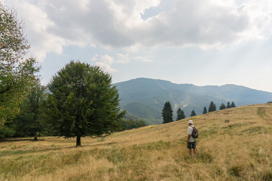  20mn img 09ba priveliste spre varful mogosa resize 1