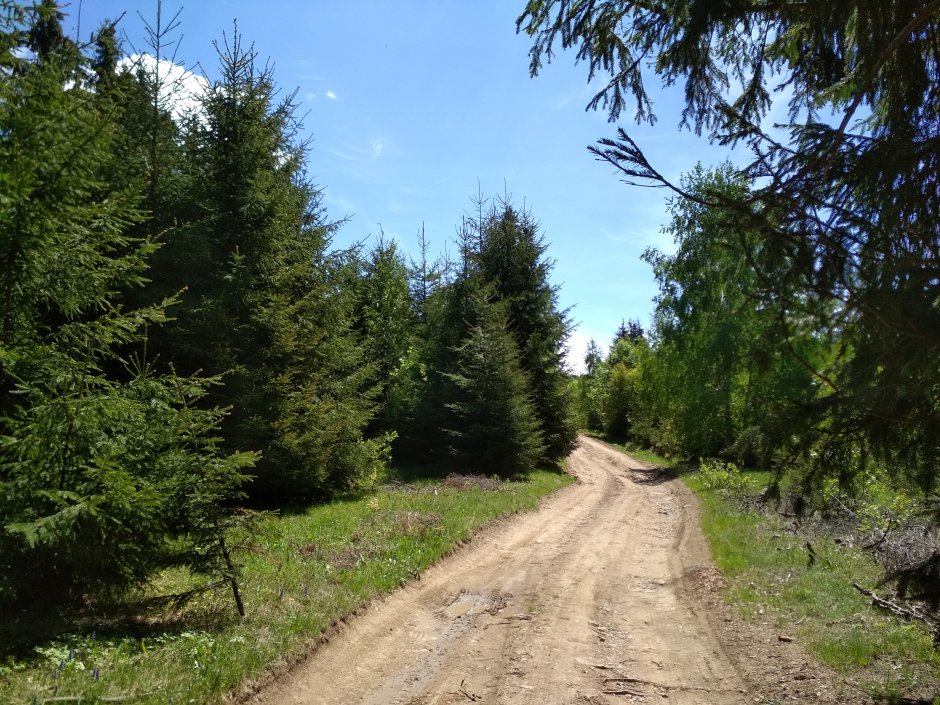  21mn img 01ba drumul de creasta dinspre pasul liban