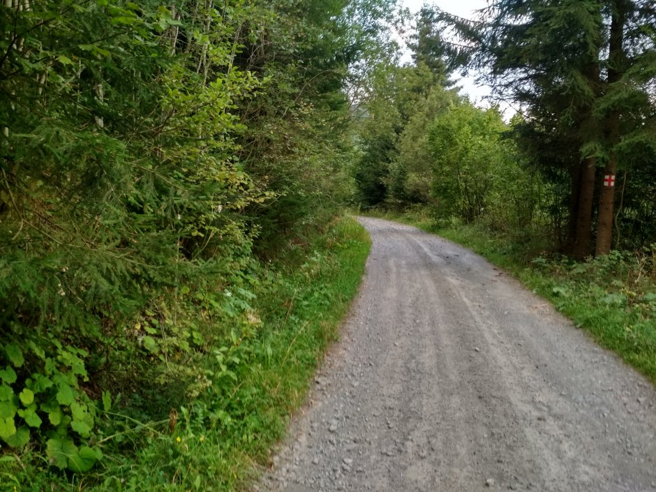  21mn img 04cr drumul pietruit spre creasta principala 0