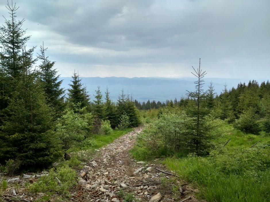  21mn img 15ta in apropiere de creasta principala