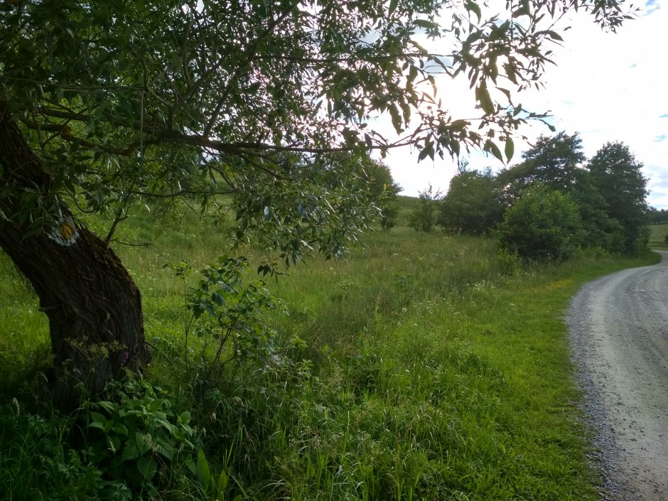  21mn img 44pg drumul judetean 132a 0