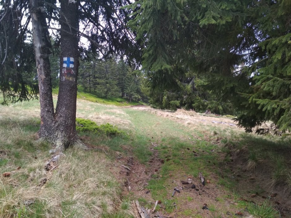  21mn img 52ca poteca langa vf