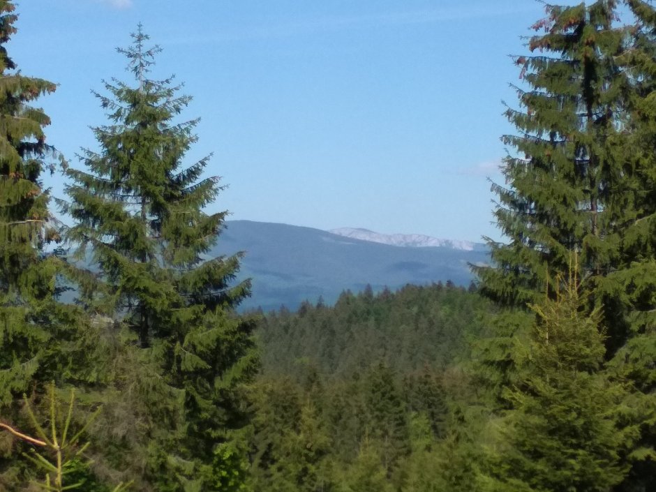  21mn img 57ca vedere spre muntii hasmasul mare 0