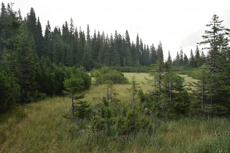  22mn img 10cr - sub lacul sureanu