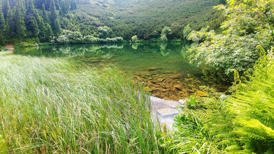  22mn img 16tr - lacul sureanu 3