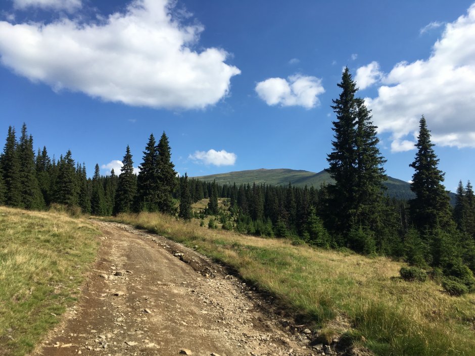  23mn img 04cr vedere spre cindrel 0